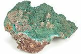 Huge, Sparkling Dioptase Crystal Cluster - N'tola Mine, Congo #209711-2